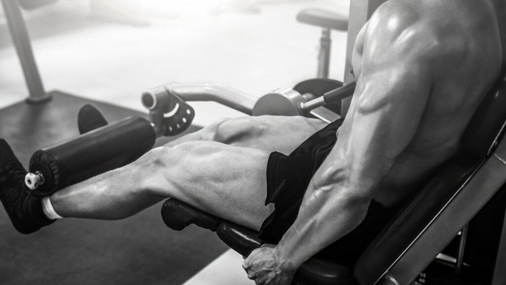 weight training leg exercises