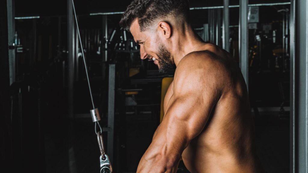 triceps muscle workout