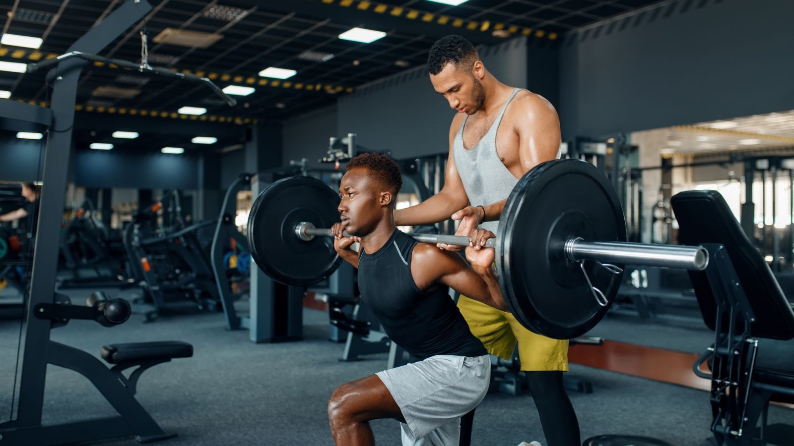 muscle building workouts