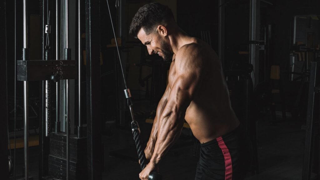 best triceps workout