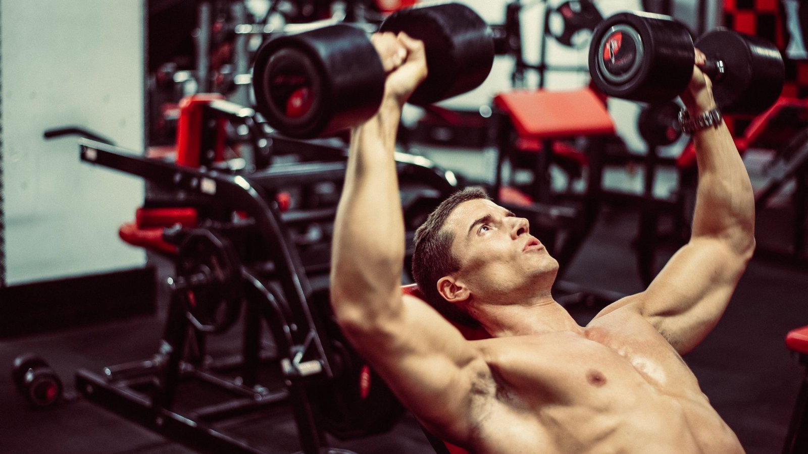 chest workouts with dumbbells