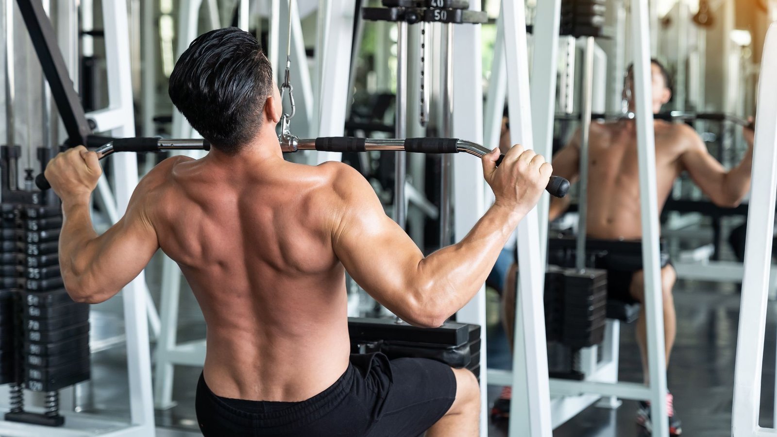 perfect back workout